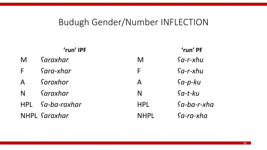 budugh gender number inflection 1