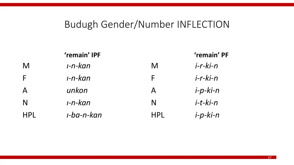 budugh gender number inflection 2