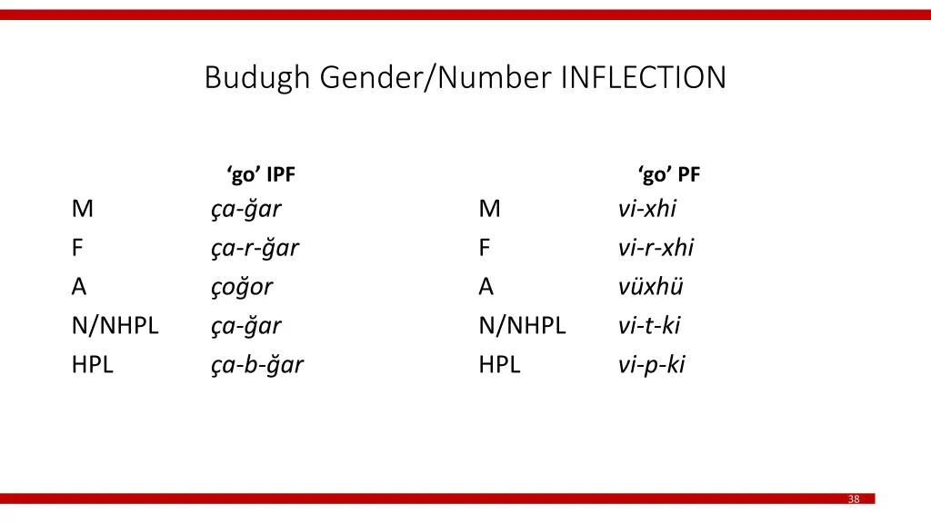 budugh gender number inflection 3