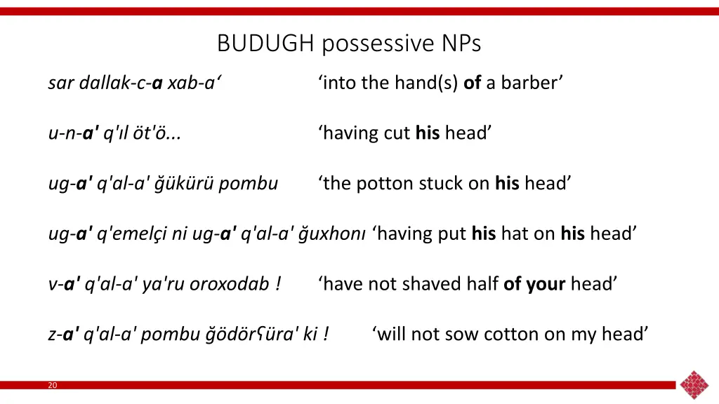 budugh possessive nps