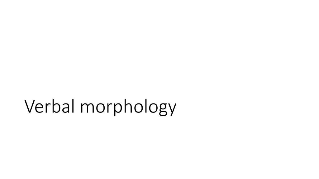 verbal morphology