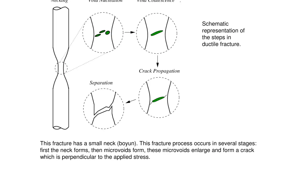 schematic representation of the steps in ductile