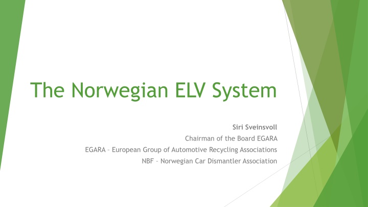 the norwegian elv system