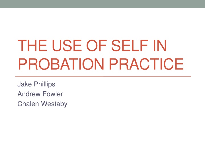 the use of self in probation practice