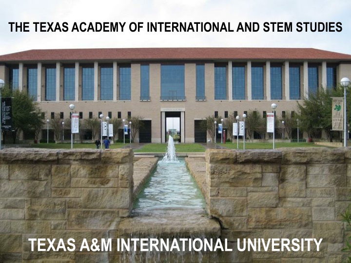 the texas academy of international and stem