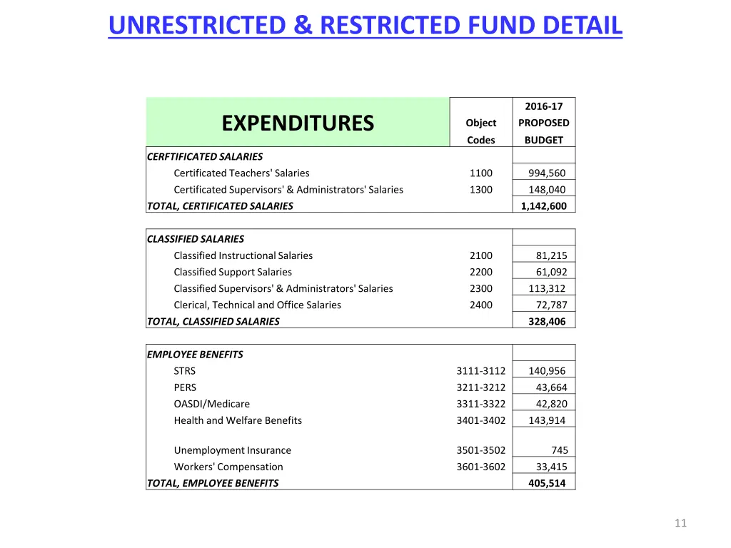 unrestricted restricted fund detail 1