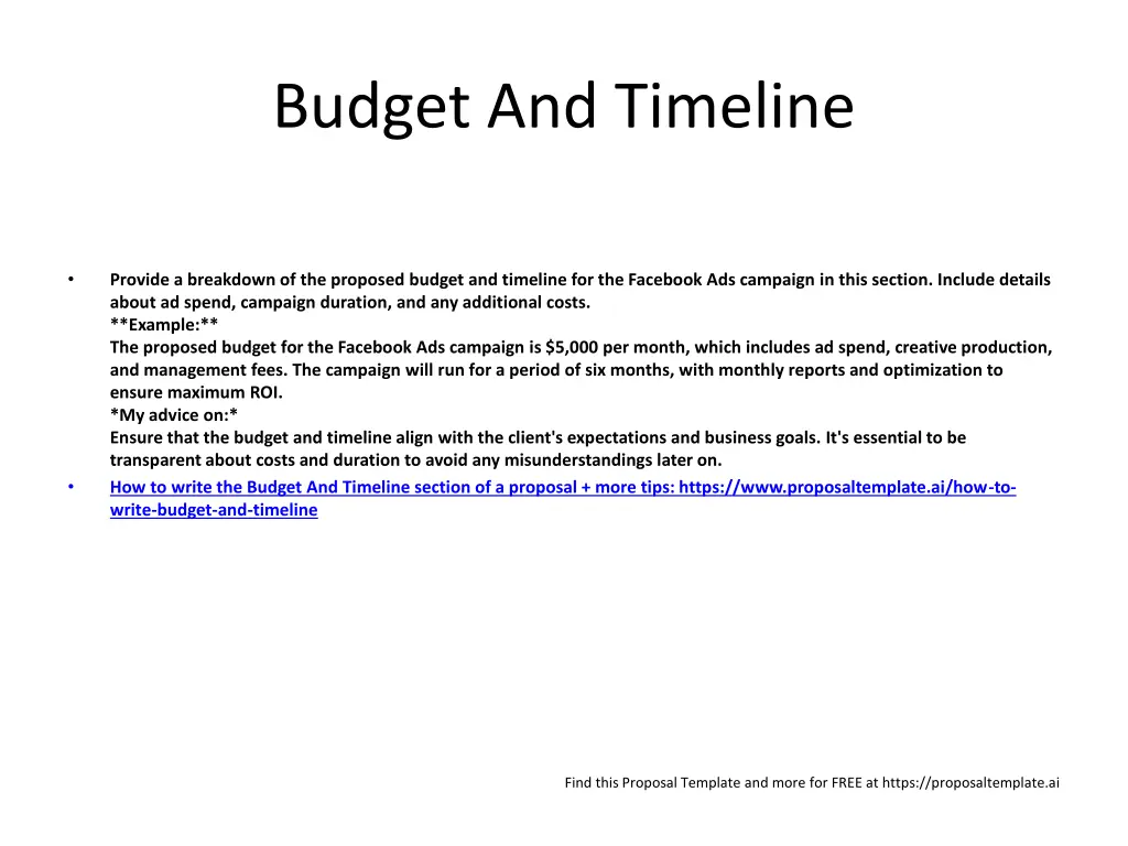 budget and timeline