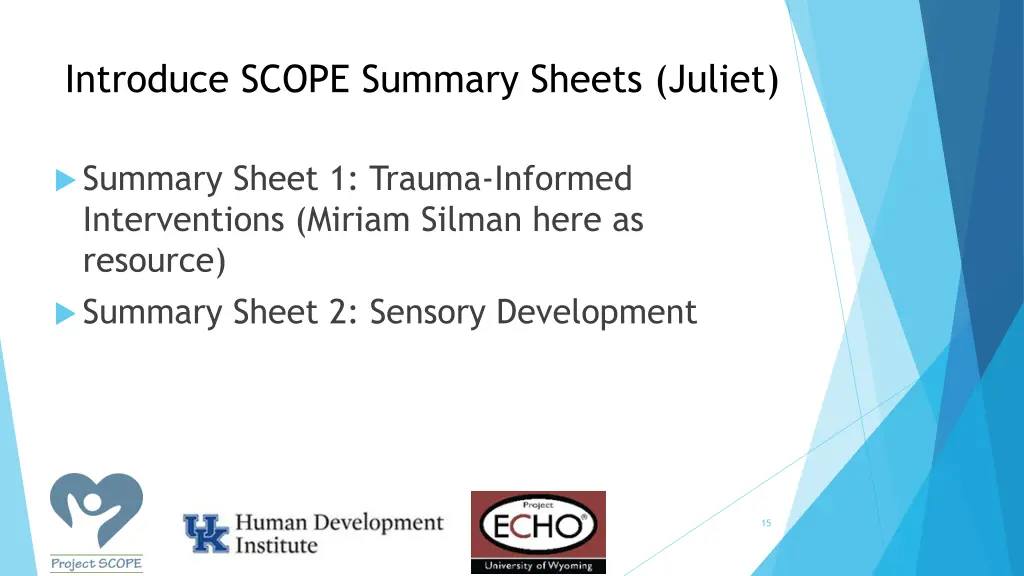 introduce scope summary sheets juliet