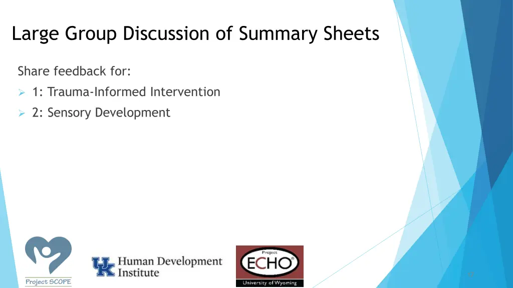 large group discussion of summary sheets