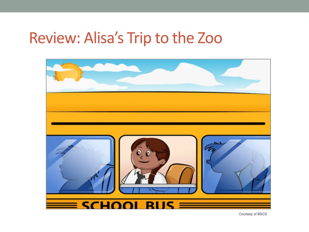 review alisa s trip to the zoo