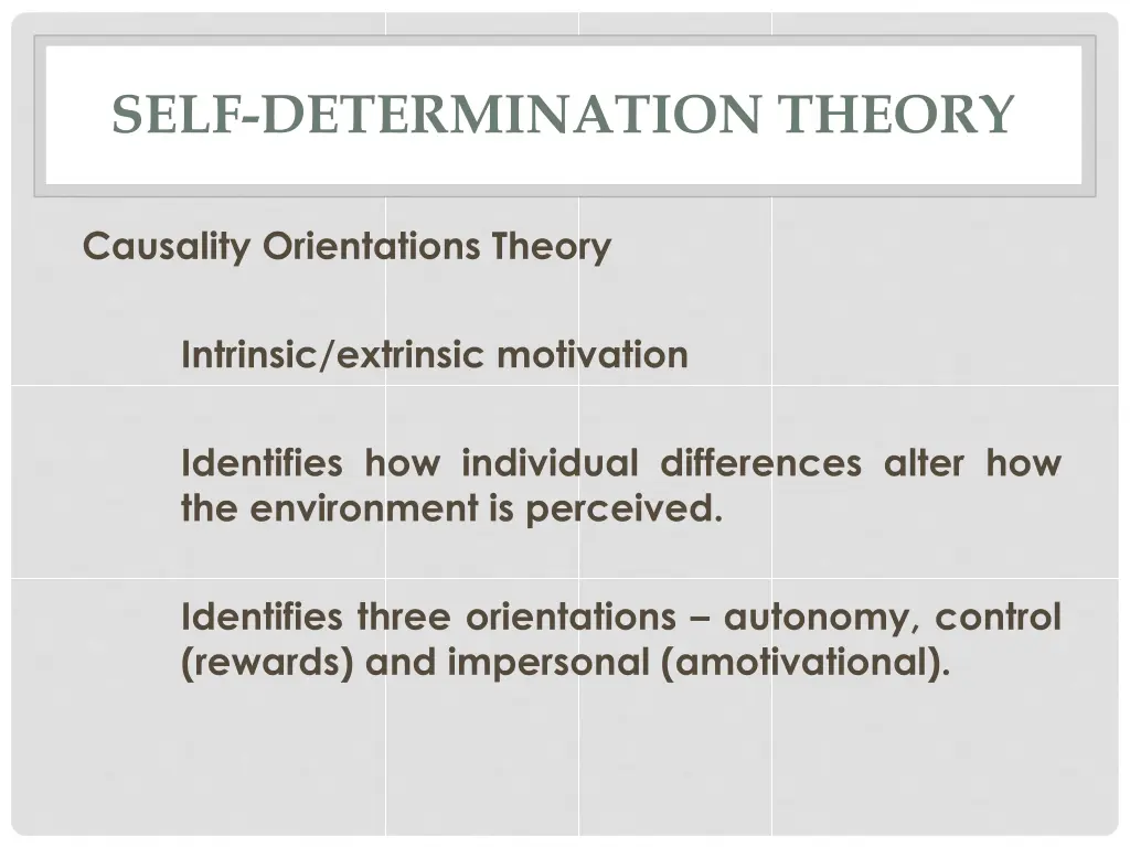 self determination theory 11