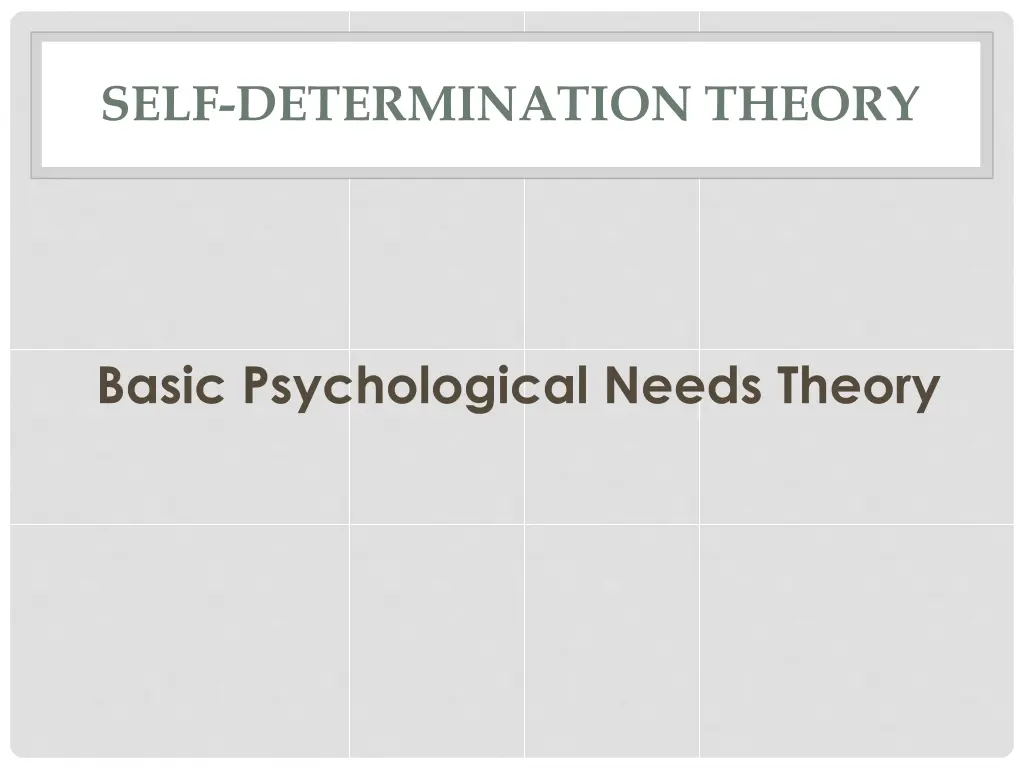 self determination theory 12