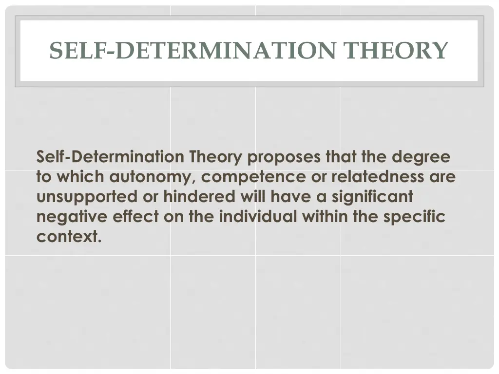 self determination theory 2