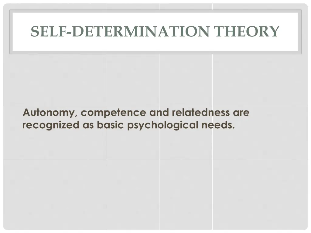 self determination theory 3