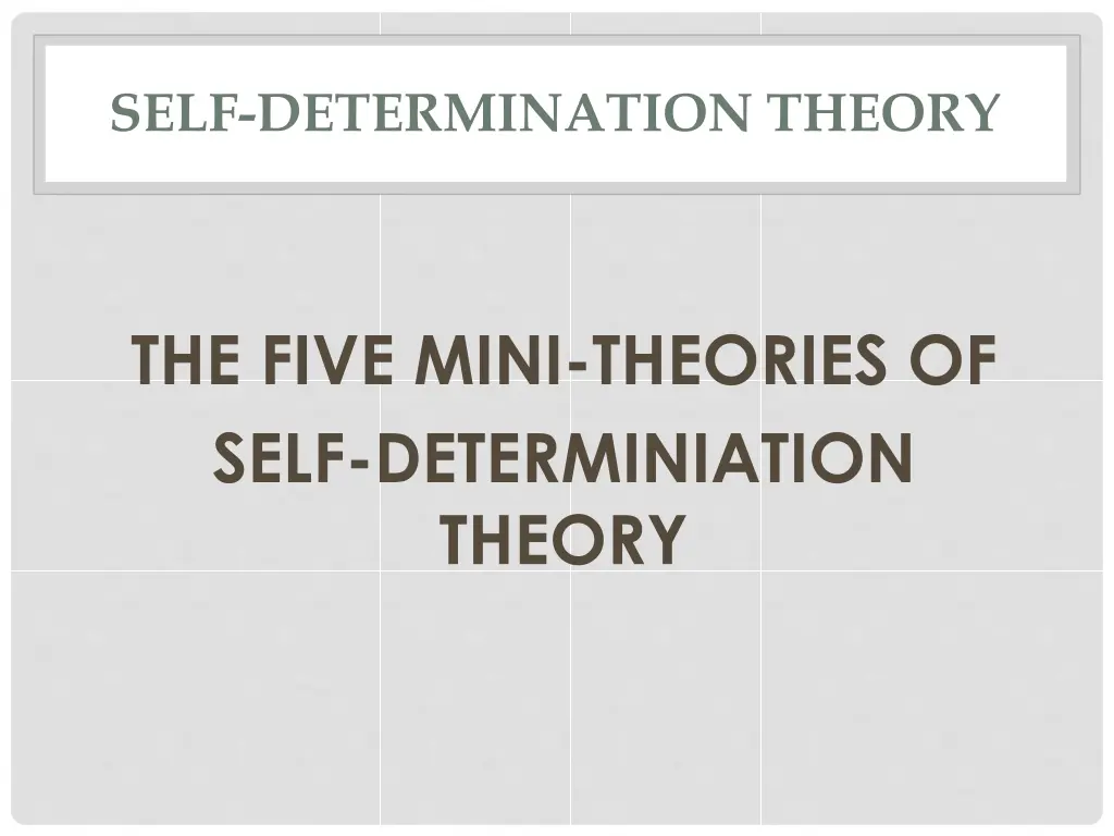 self determination theory 4