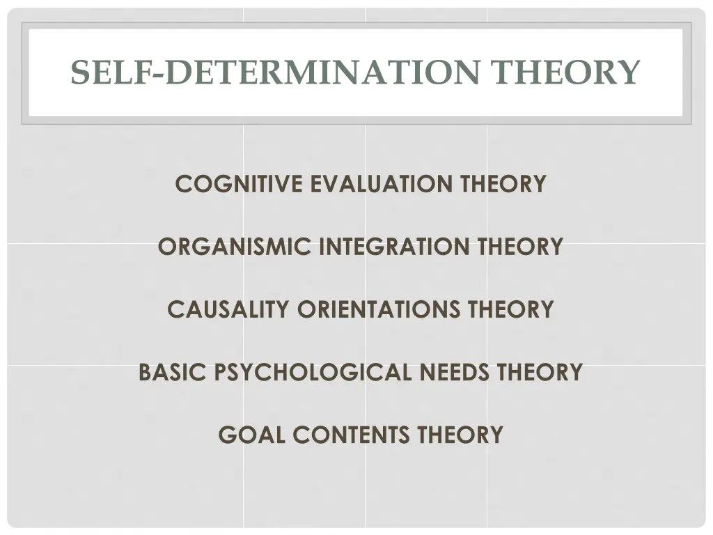 self determination theory 5