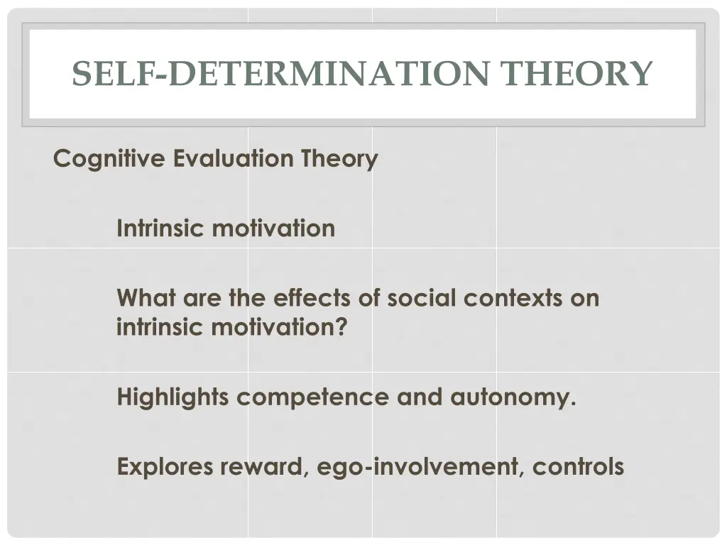 self determination theory 7