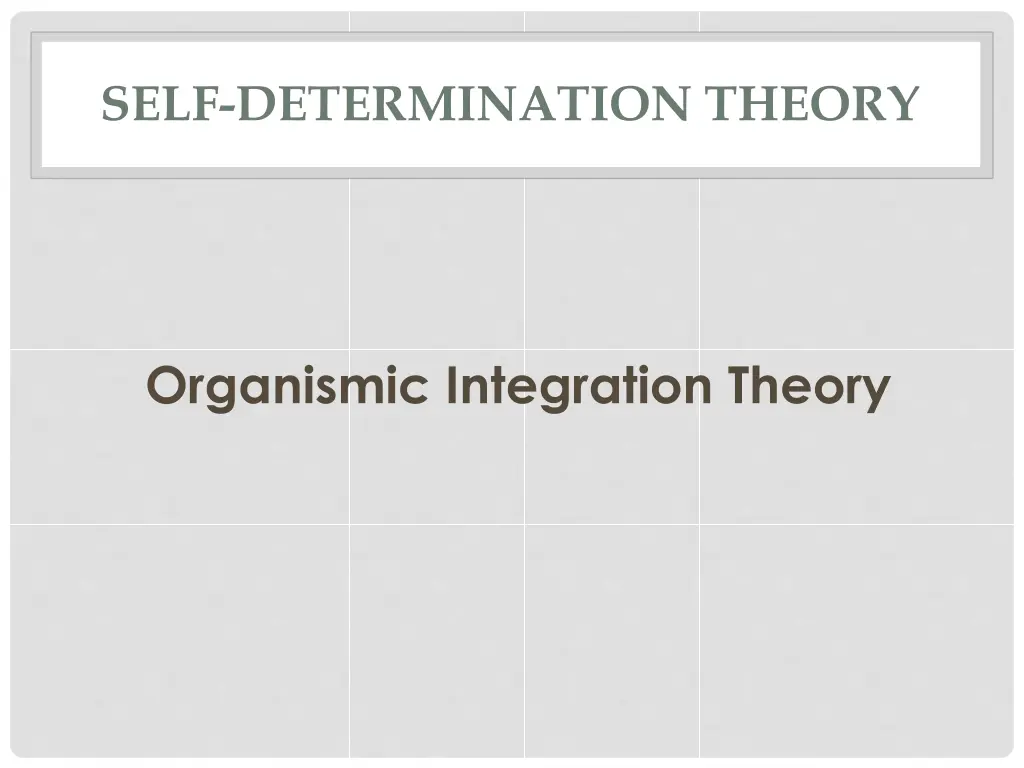 self determination theory 8