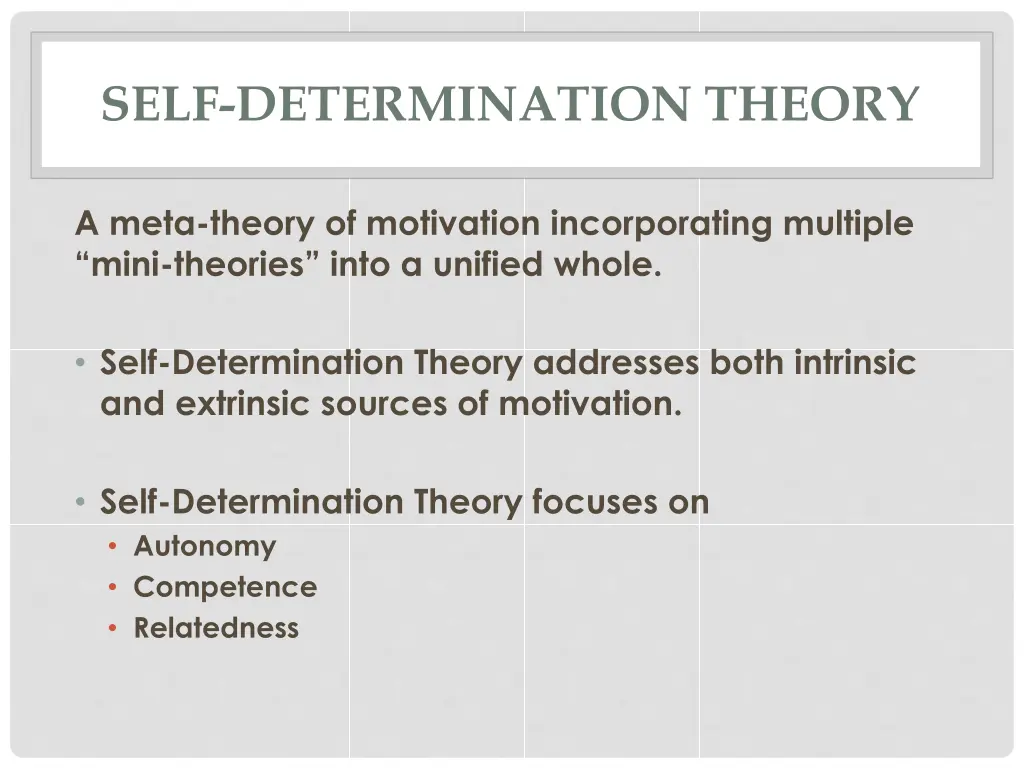 self determination theory