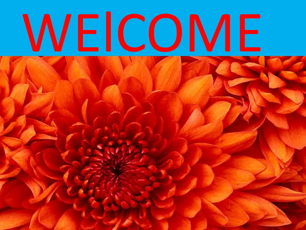 welcome