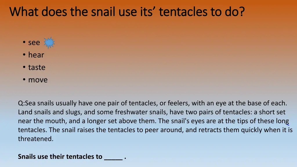 what does the snail use its tentacles to do what