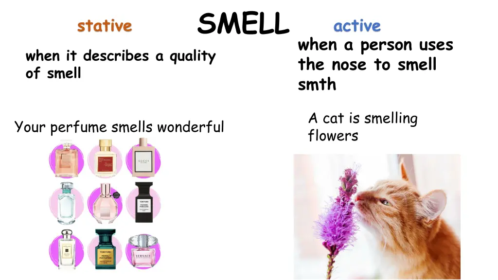 smell