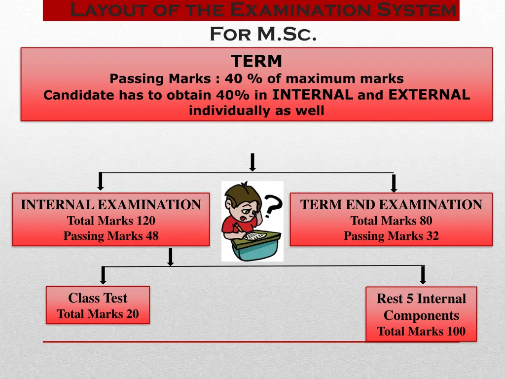 layout of the examination system for m sc term