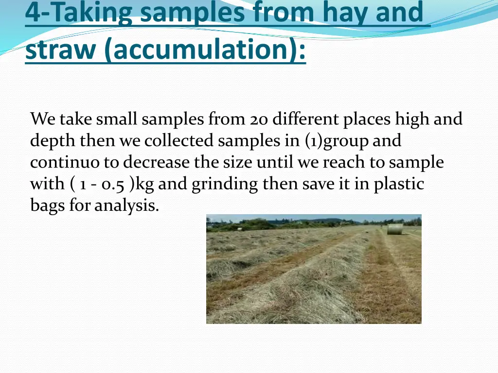 4 taking samples from hay and straw accumulation