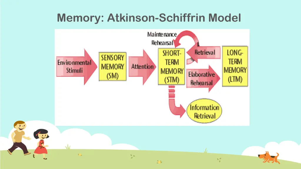 memory atkinson schiffrin model