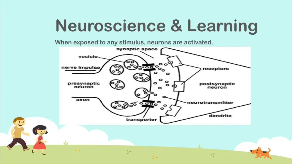 neuroscience learning