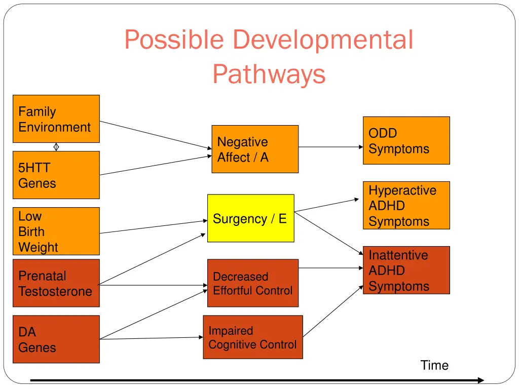 possible developmental pathways