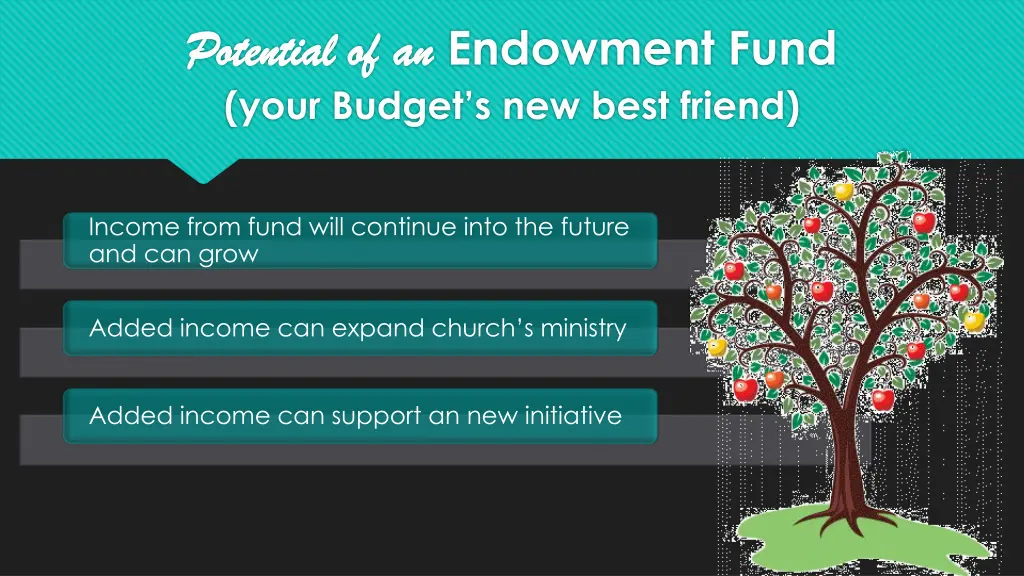 potential of an potential of an endowment fund