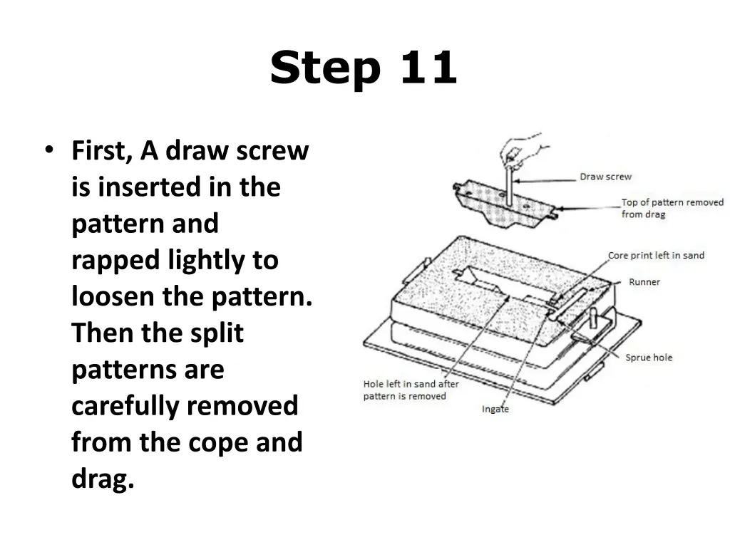 step 11