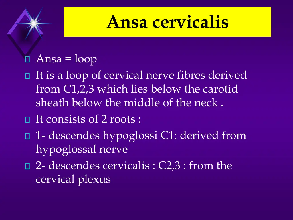 ansa cervicalis