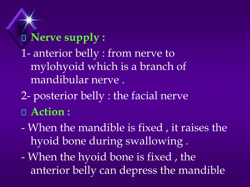 nerve supply 1 anterior belly from nerve