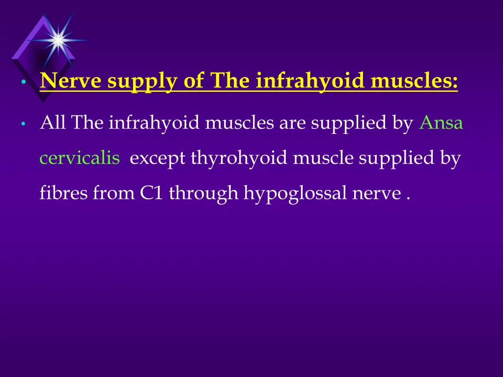 nerve supply of the infrahyoid muscles