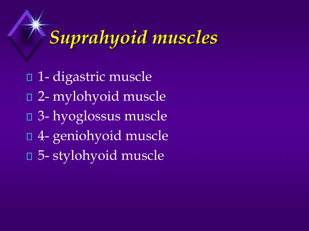 suprahyoid muscles