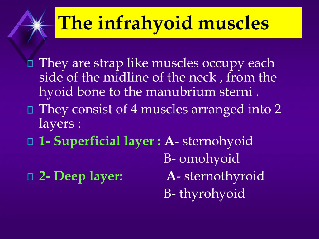 the infrahyoid muscles