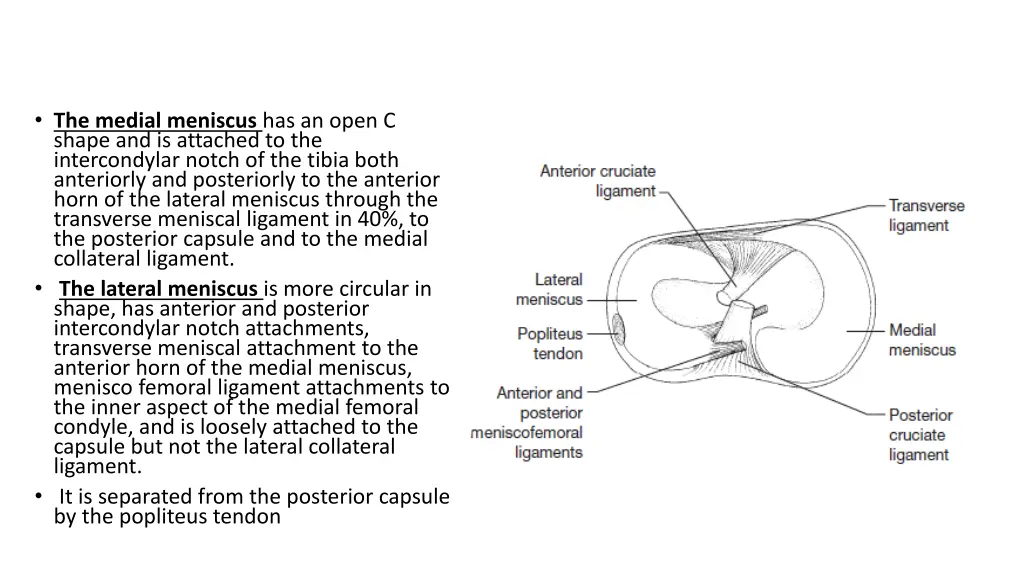 the medial meniscus has an open c shape