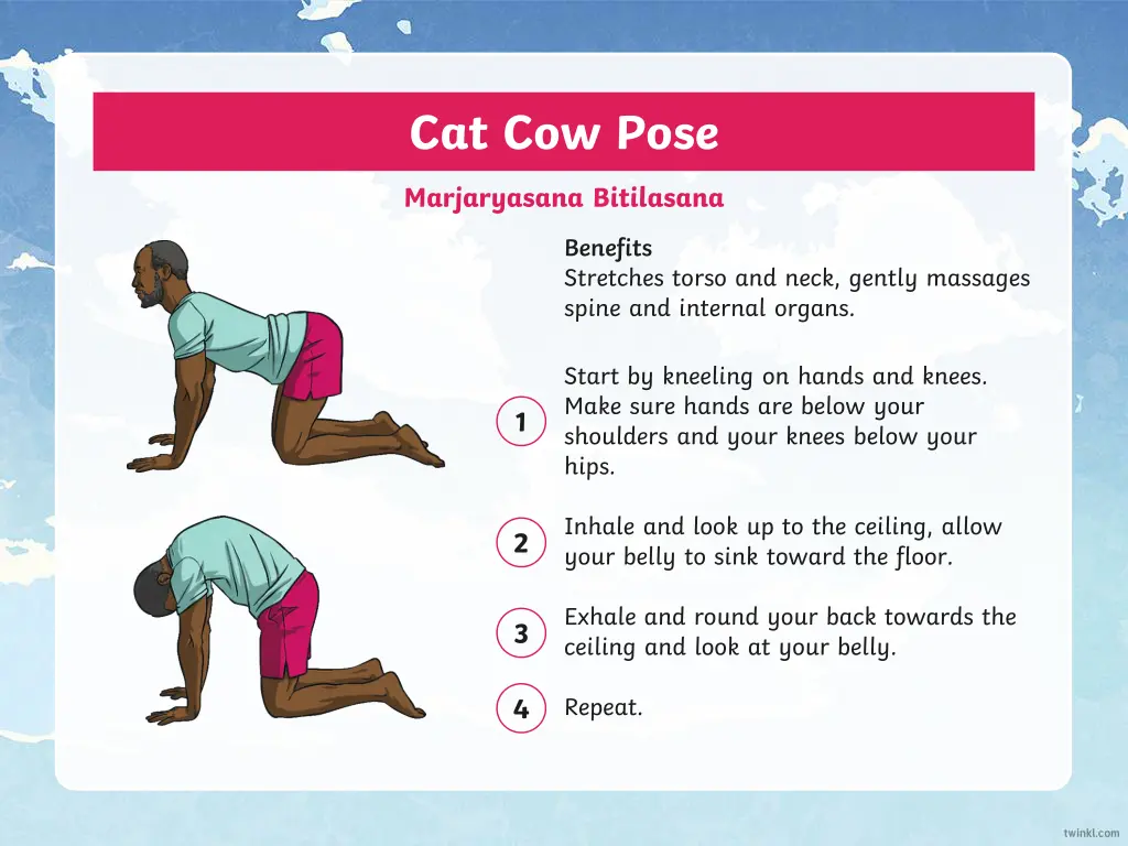 cat cow pose