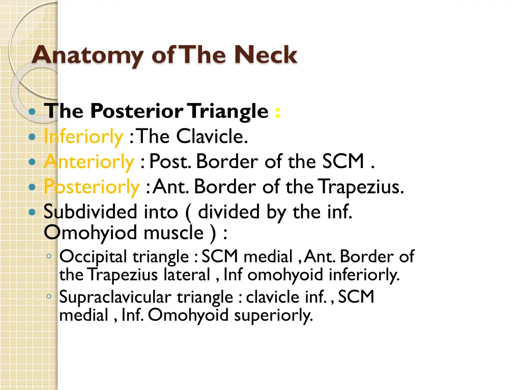 anatomy of the neck 3