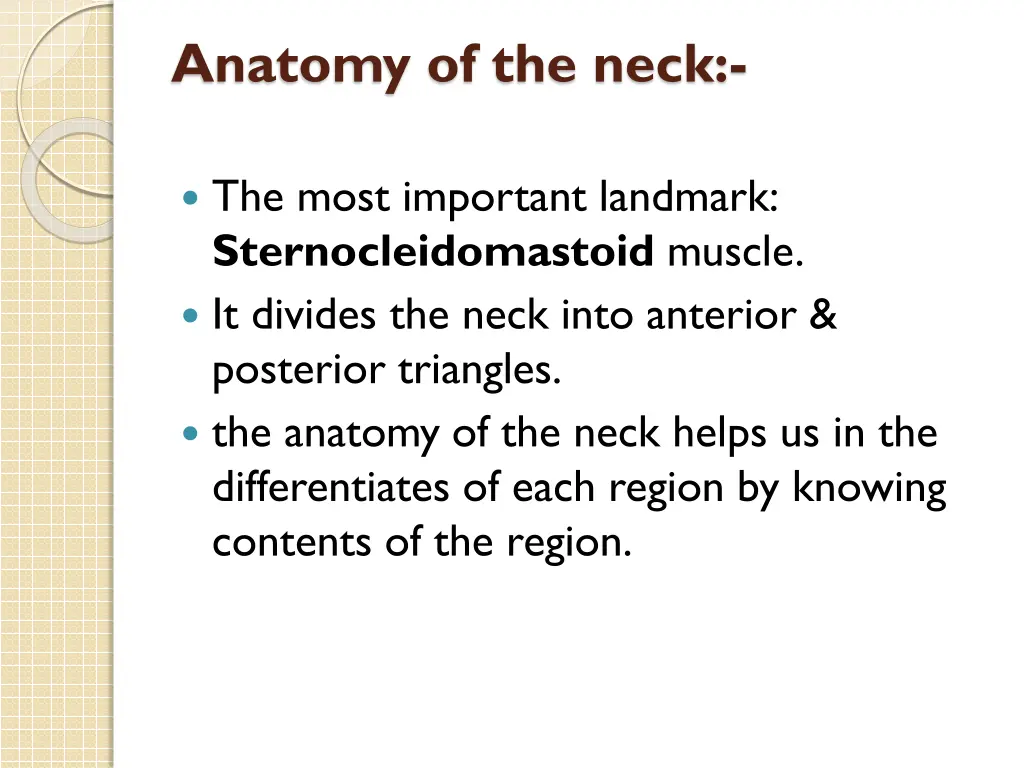 anatomy of the neck