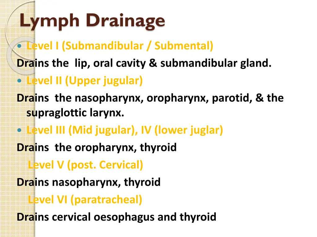 lymph drainage