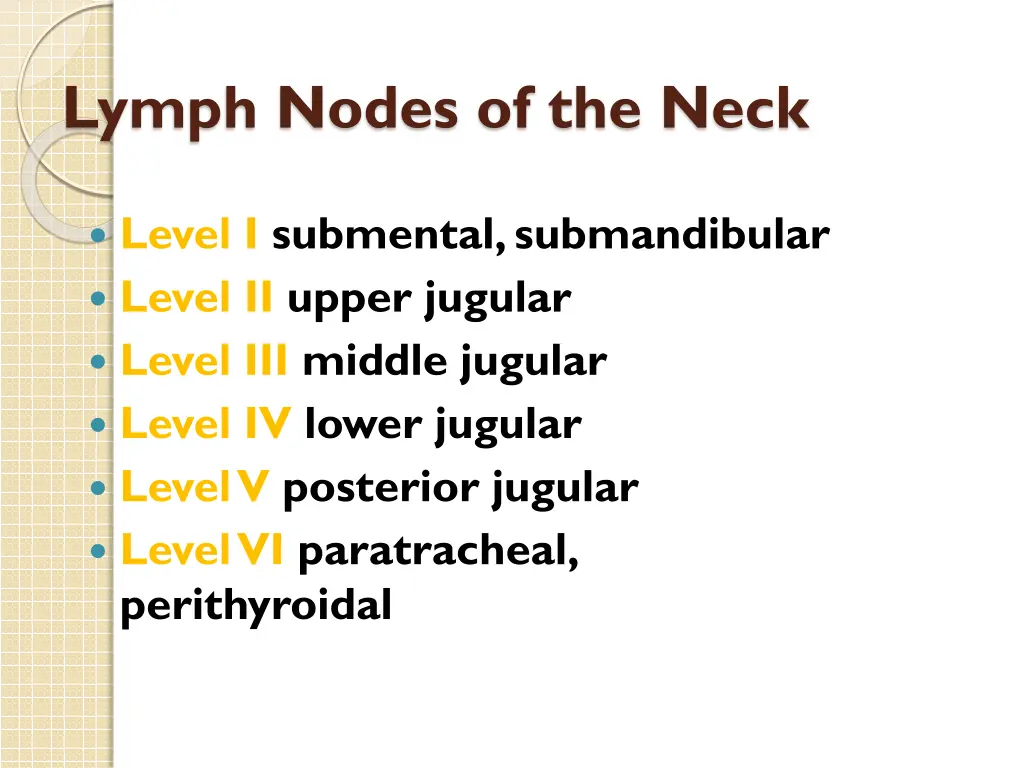 lymph nodes of the neck 1