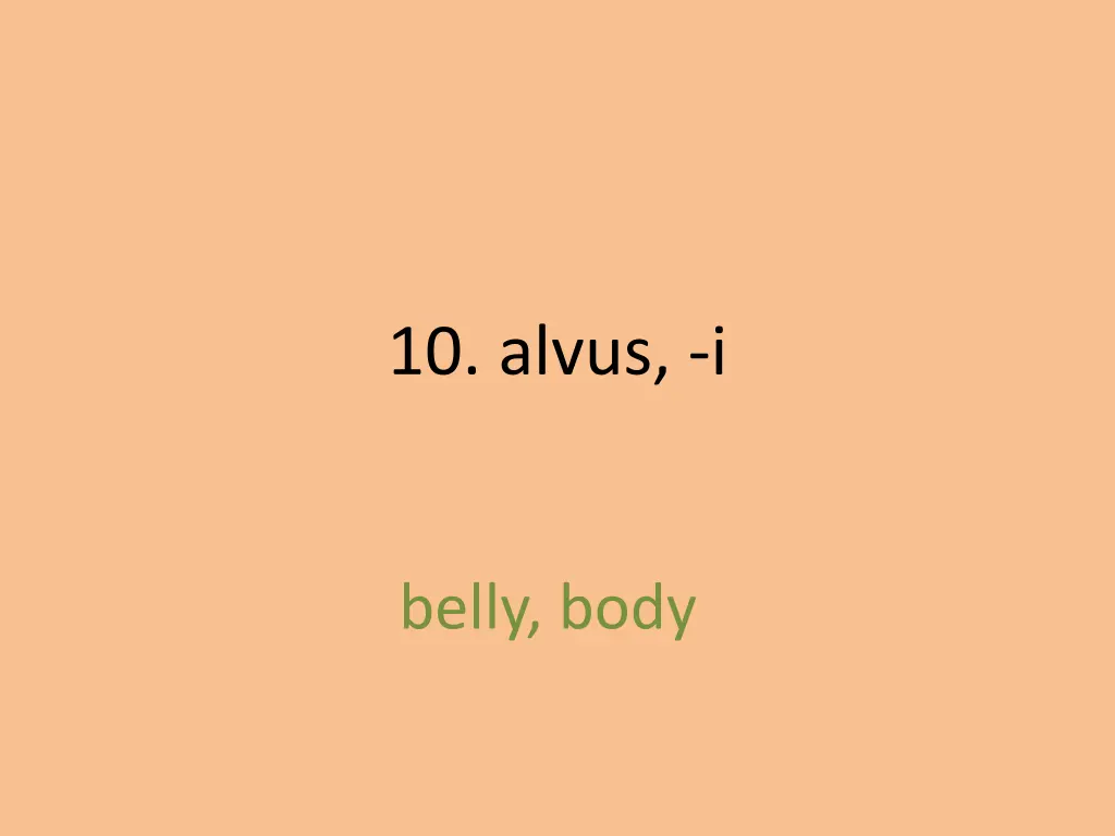 10 alvus i 1