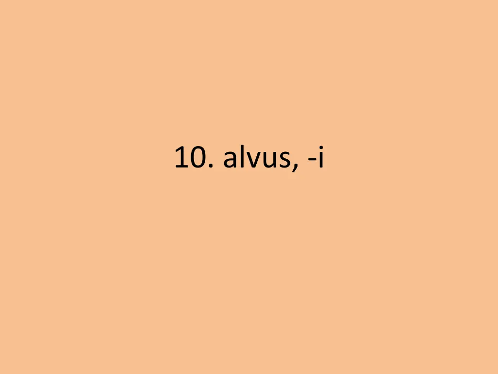 10 alvus i