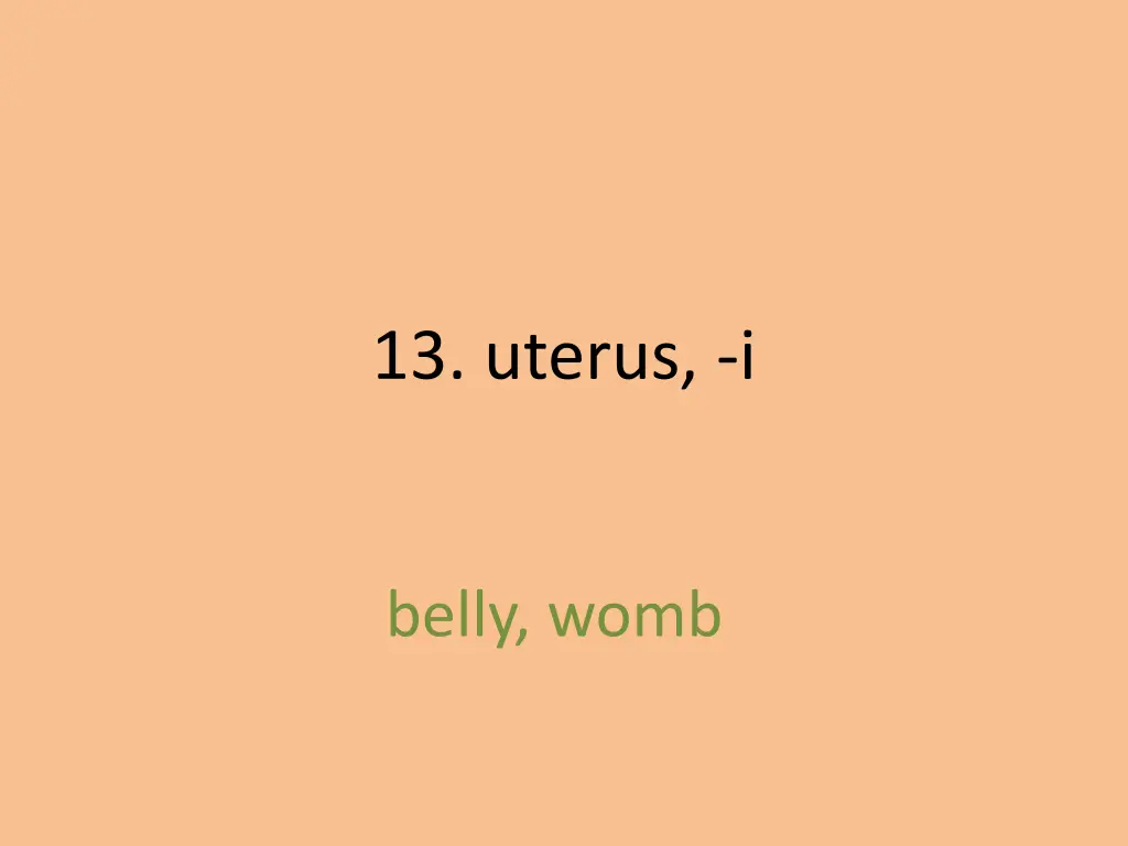 13 uterus i 1