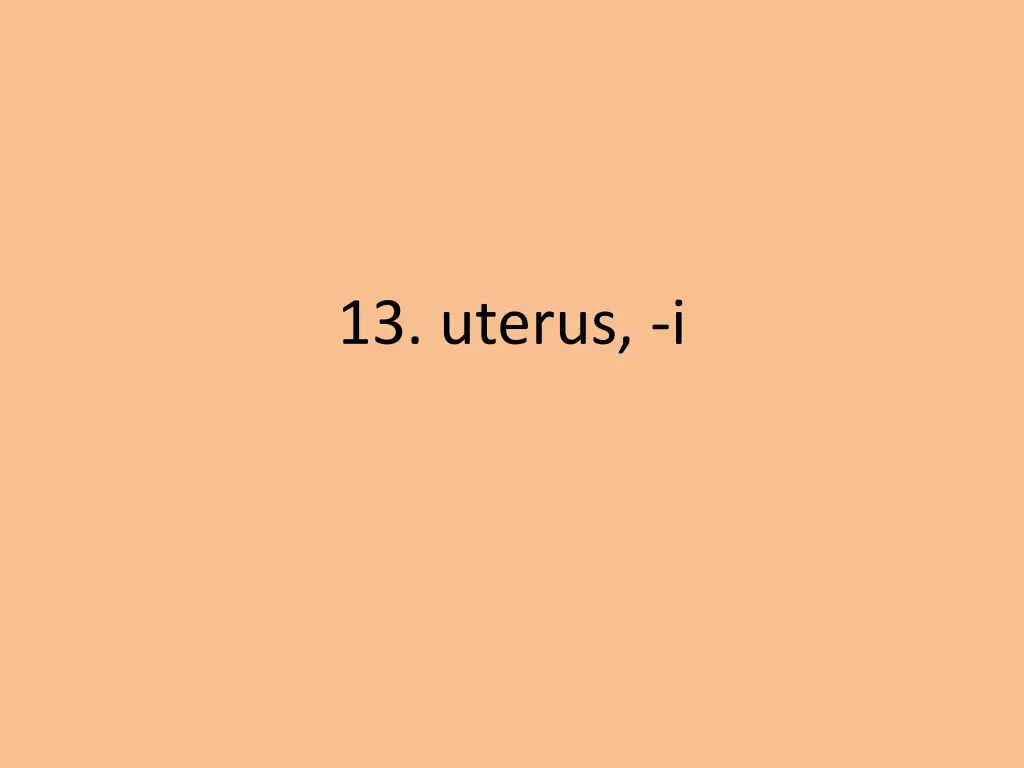 13 uterus i