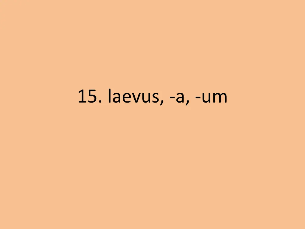 15 laevus a um