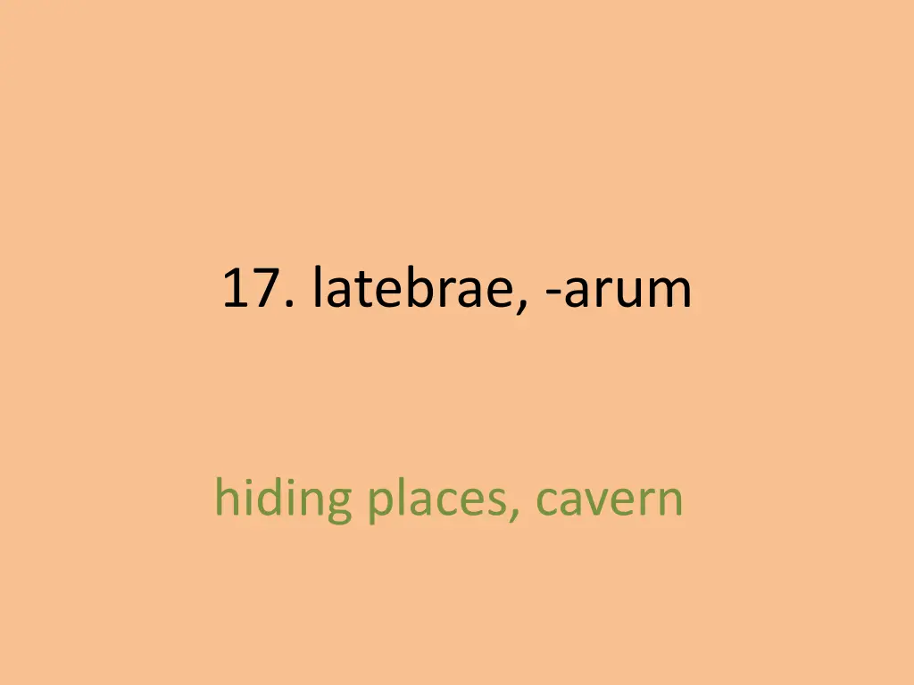 17 latebrae arum 1